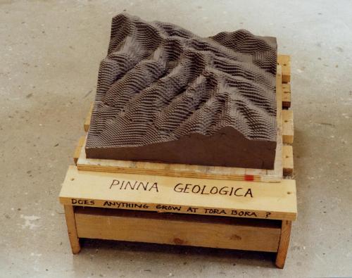 pinna geologica unfired clay, wooden pallet, 60cm (L) 2002