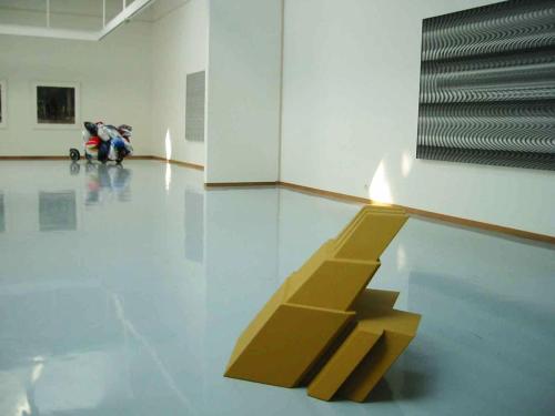 Site Unseen Something Strange, exhibition at The Aine Art Museum, mixed media, 88cm (L) 2004