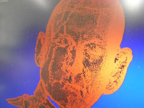 digital image of one of several shell scans