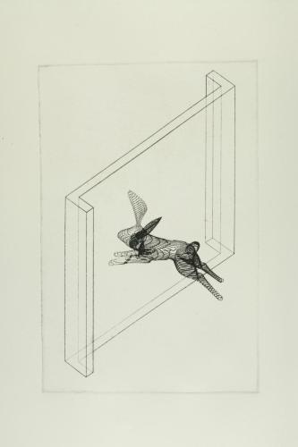 Hare, etching, 15.5 x 23.5cm, 2004