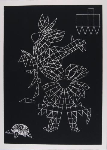 Tortoise Unfold, screenprint on boxed mount card, 22.5 x 31 x 3cm 2004