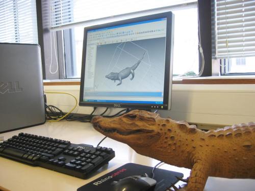 Natural History Museum computer lab with crocodile ready for scanning exercise, 2010