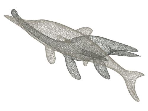 Blend of Ichtyosaur and Plesiosaur digital files prior to morphing exercise,2010