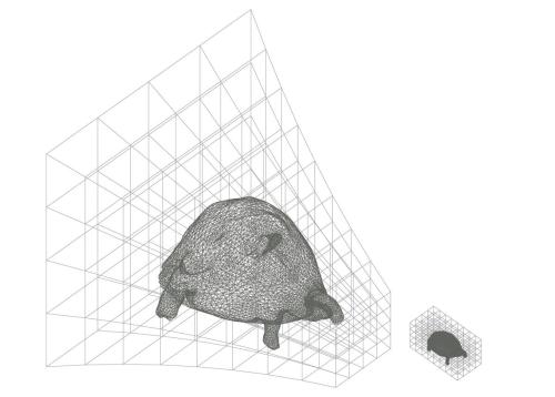 Digital sketch of deformed tortoise scan and deformed grid, 2010